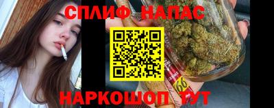 a pvp Новоалтайск