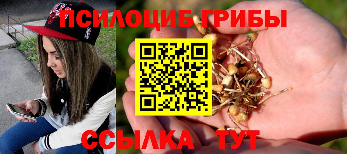 Волжск  Галлюциногенные грибы прущие грибы  купить закладку  Галлюциногенные грибы Psilocybe  Вход с VPN 